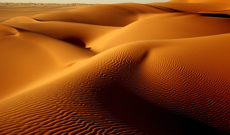 Сахара не піддається категоризації в рамках одного типу пустелі, хоча переважним є піщано-кам'янистий тип