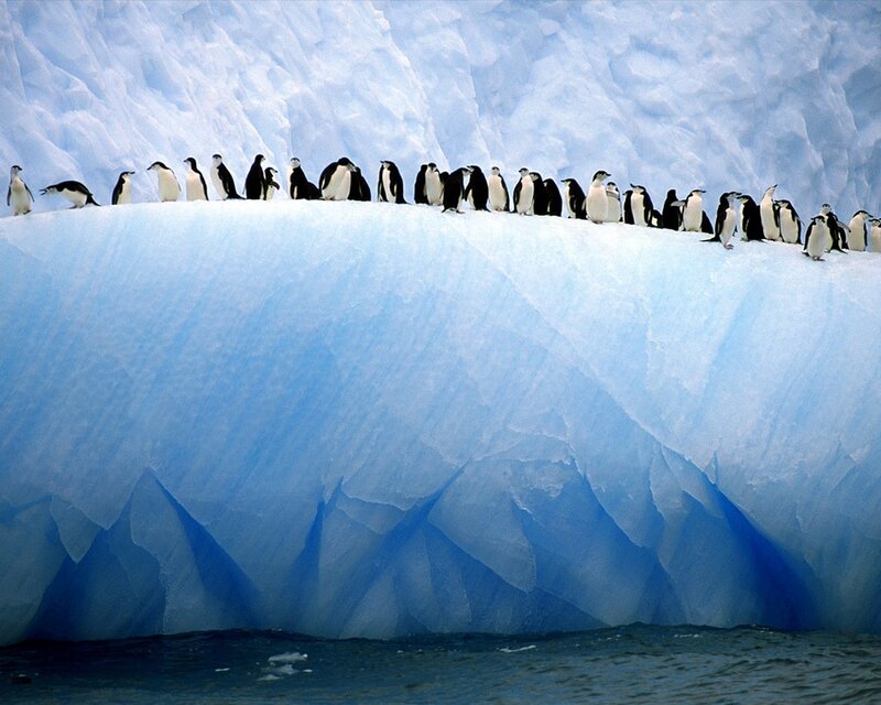 Льоди Антарктики, південний полюс, Антарктида
