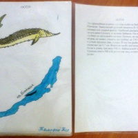 Фотозвіт про заняття з малювання з дітьми 5-7 років «Як ми малювали книжку-малятко« Байкальський заповідник »   Найбільше прісноводне озеро на нашій планеті - Байкал