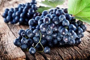 Для приготування вина застосовується виноград технічного призначення