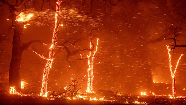 Число загиблих в результаті лісових пожеж в Каліфорнії збільшилась до 31 осіб а