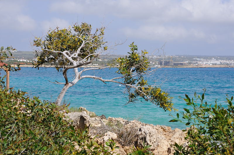 З точки зору погоди, Кіпр - ідеальне місце для кліматичного туризму і складе непогану конкуренцію   Таїланду