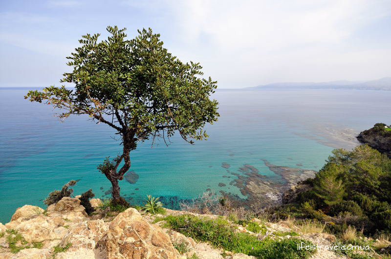 Півострів Акамас - за дику живу і неживу природу і круті краєвиди на море, за можливість багато і довго походити пішки