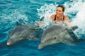 Дельфінарії славляться своїми веселими і захоплюючими шоу і постановочними програмами