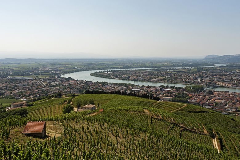 В області вина випускають такі виробники, як Chateau de la Gardine, Domaine Georges Vernay, Marc Sorrel, Vignobles Brunier