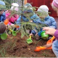 Посадка ялинки на ділянці дитячого саду   Опис: Ми живемо в дуже красивому місті Апрелівка