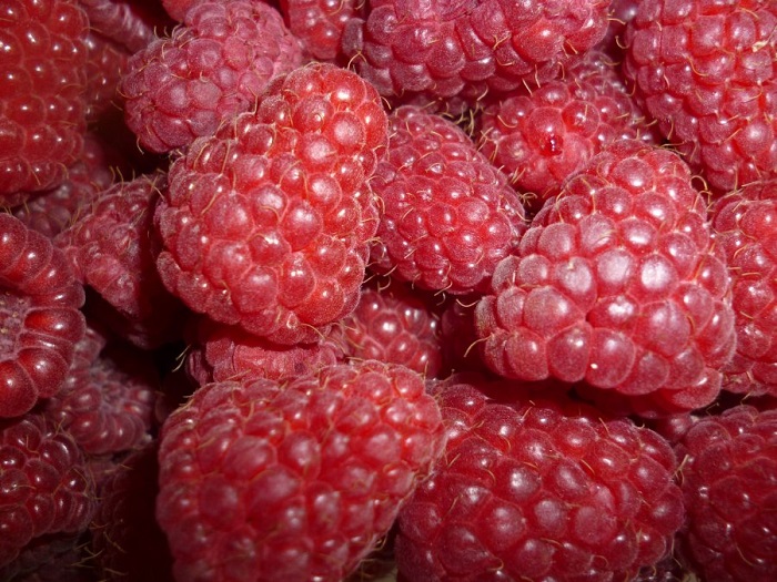 солі;   занурити ягоди в сольовий розчин на 8-10 хвилин;   після того, як личинки спливуть - ретельно їх видалити;   процідити малину через друшляк