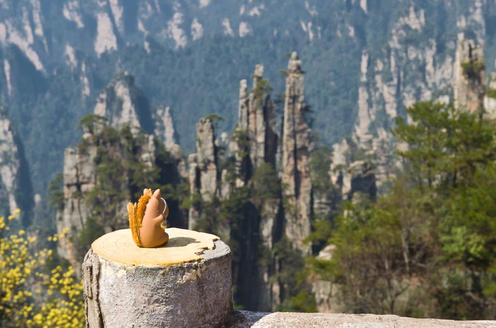 Кінь Борис в національному парку Чжанцзяцзе (The Zhangjiajie National Forest Park, 湖南 张家界 国家 森林 公园) під час подорожі по Китаю
