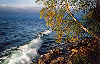 Більше половини берегової лінії озера включено в територію   заповідників, заказників і національних парків