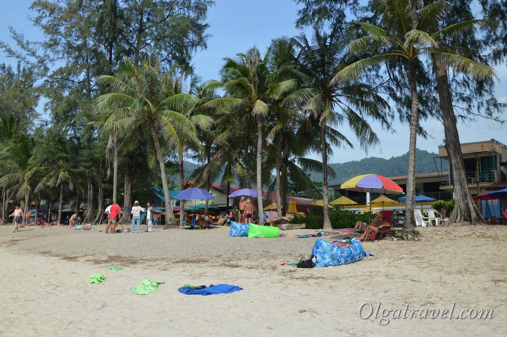 Пляж не може похвалитися ідеальною чистотою, досить багато природного сміття   На піску «голки» від дерев